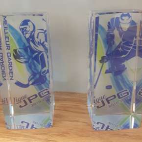 Trophée-en-cube-imprimé