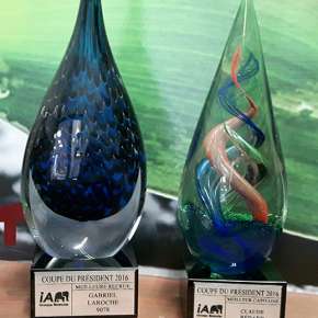 Trophée-en-verre-couleurs