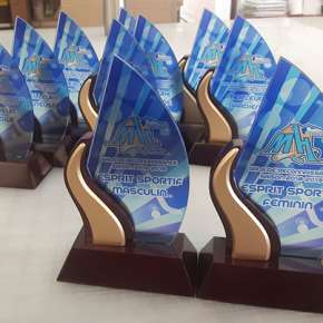 Trophée-imprimé-hockey-deck (1)